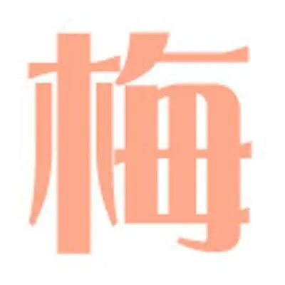 松竹梅琉骑