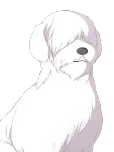 修特拉斯