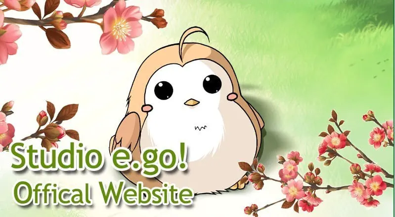 Studio e.go!