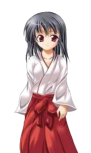紫苑