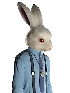 白兔