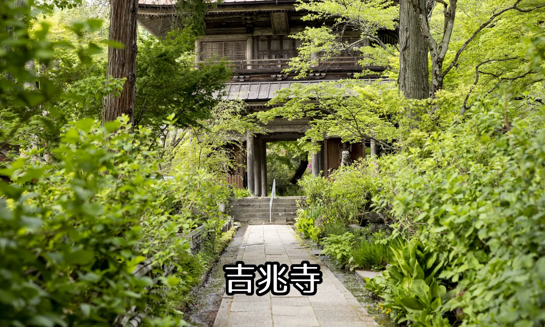 截图 4