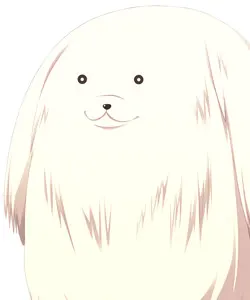 クー