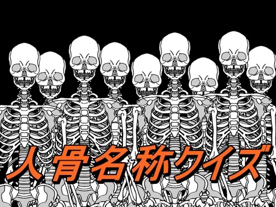 人骨名称クイズ
