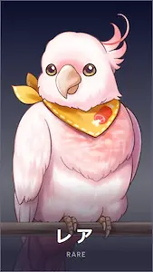 レア