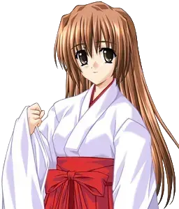 沢良宜 晴