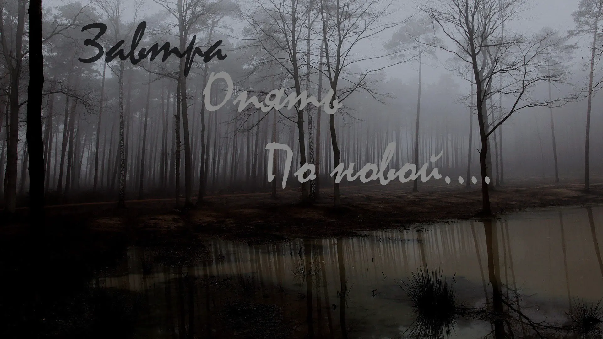 Завтра опять по новой....