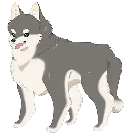 犬