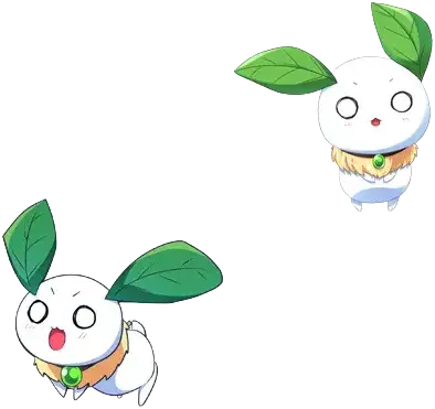 库帕