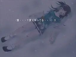 SNOW FLAG