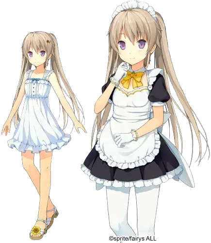 有坂真白