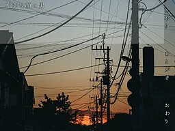 脸与人
