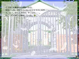 小鸟
