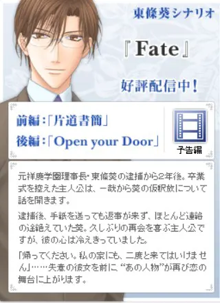 东条葵剧本 「Fate