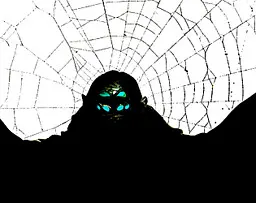 The spider on the wall