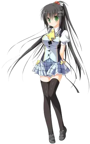 忍坂鸫