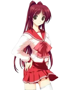 向坂环
