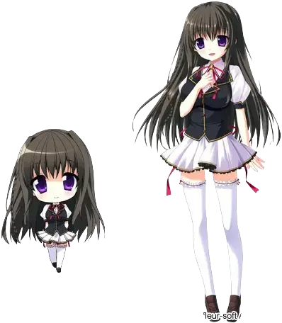 日向 真白