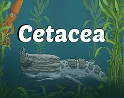 Cetacea