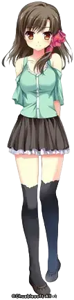 野和芹香