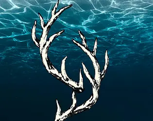 Adrift