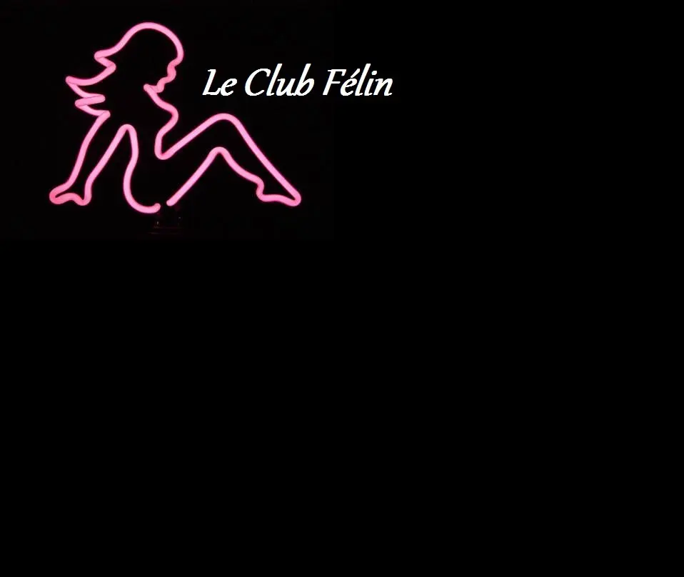Club Félin