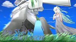 关于对象She-11的记录