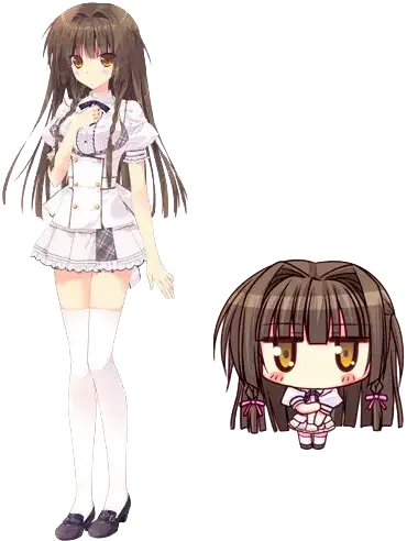 白里枫