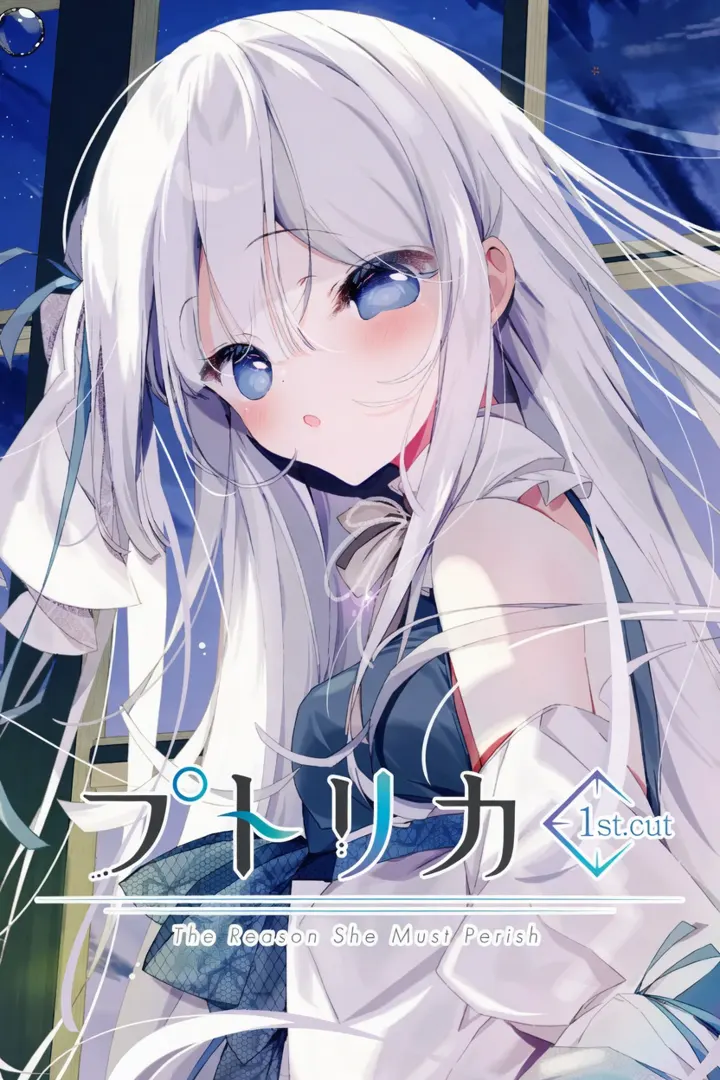 宝石少女 1st.cut