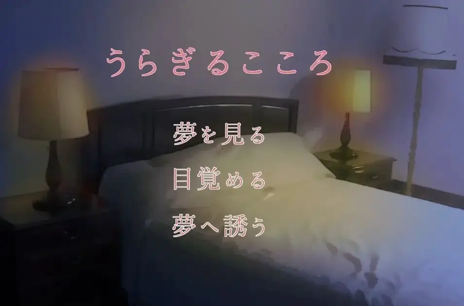 截图 5