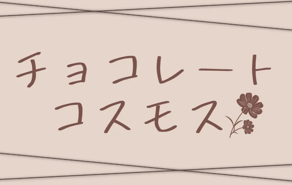 巧克力秋英
