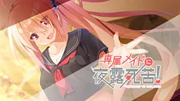 对专属女仆夜露死苦!