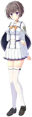 八坂可子