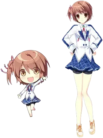 阳之本葵