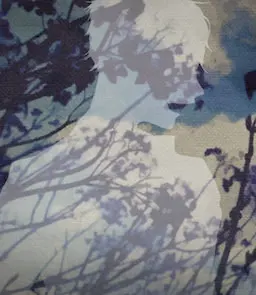 剧透角色