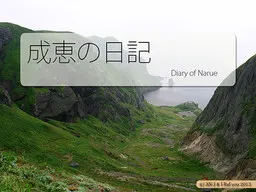 成惠的日记