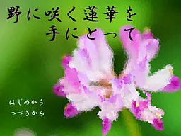 将野地绽放的莲华捧在手中