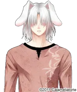 兔子先生
