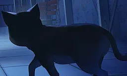 黑猫