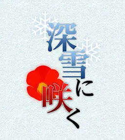 绽放于深雪
