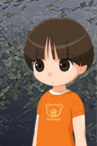 司