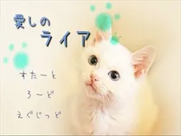 心爱的莱娅