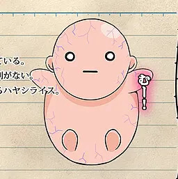 石榴 実