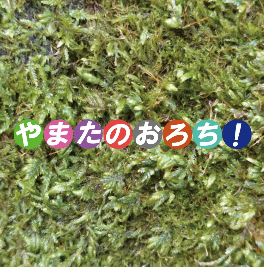 八岐大蛇!