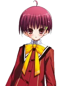 泡坂 晴