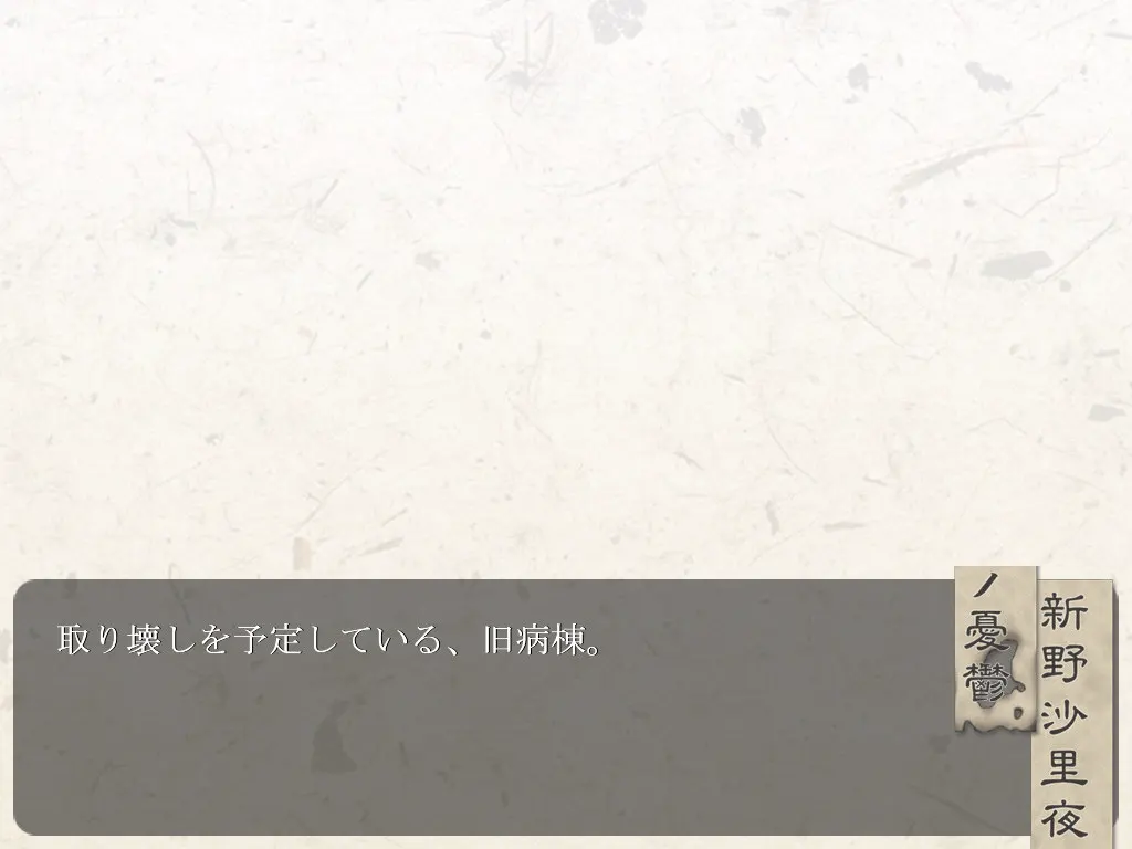 新野沙里夜之忧郁