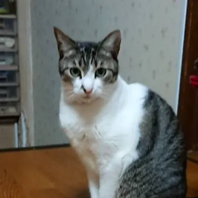 内藤骑之介