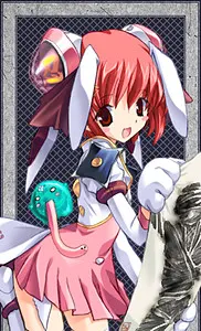 NC石榴