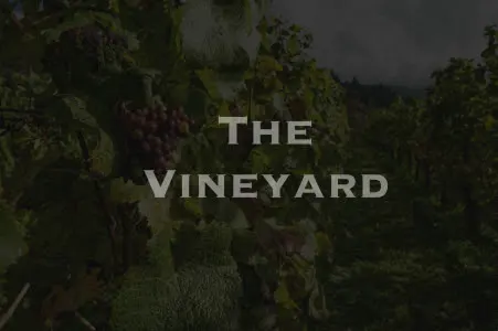 The Vineyard