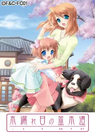 木漏れ日の並木道